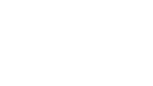 logo-anora
